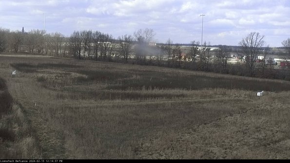 Cell 2_24-02-13_12-14-37-95