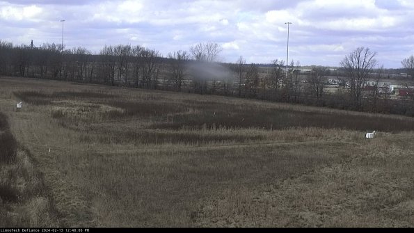 Cell 2_24-02-13_12-48-07-00