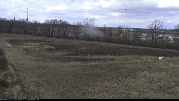 Cell 2_24-02-13_13-21-35-95