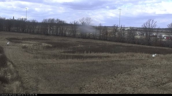 Cell 2_24-02-13_13-55-05-94