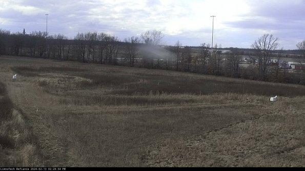 Cell 2_24-02-13_14-28-35-02