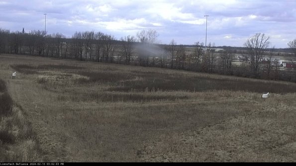 Cell 2_24-02-13_15-02-03-93