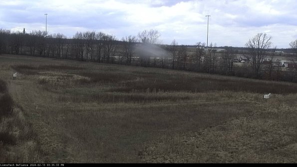 Cell 2_24-02-13_15-35-33-95