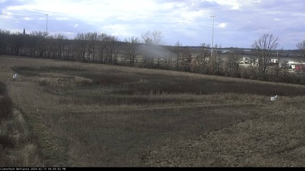 Cell 2_24-02-13_16-09-02-96