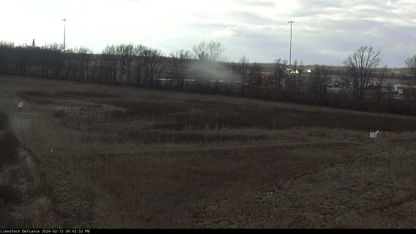 Cell 2_24-02-13_16-42-32-95