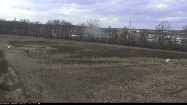 Cell 2_24-02-13_17-16-02-03