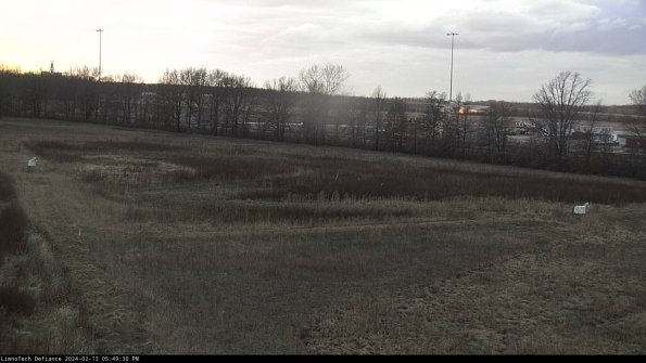 Cell 2_24-02-13_17-49-31-04