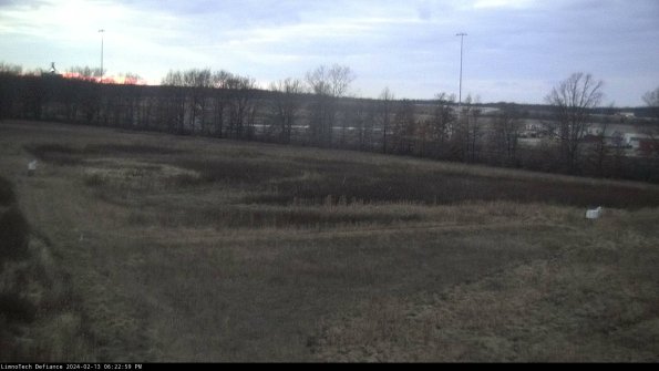 Cell 2_24-02-13_18-22-59-99