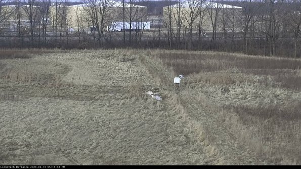 Cell 3 to 4_24-02-13_17-16-43-94