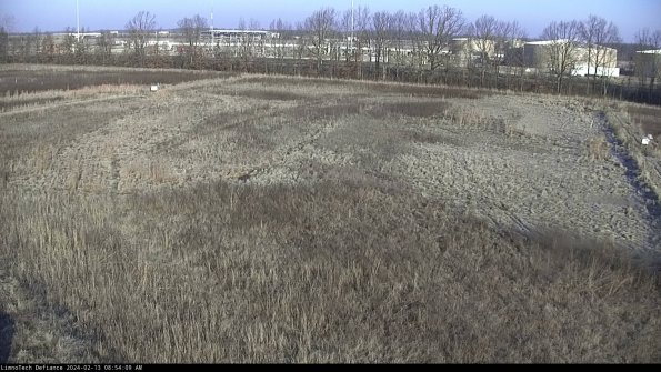 Cell 3_24-02-13_08-54-09-95