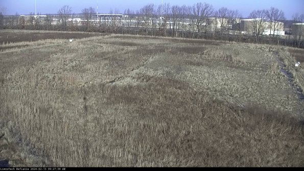 Cell 3_24-02-13_09-27-39-93