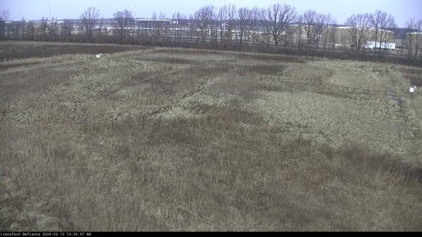 Cell 3_24-02-13_10-34-37-93