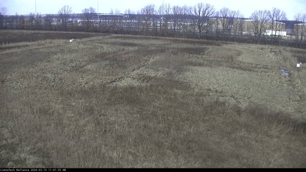 Cell 3_24-02-13_11-41-36-16