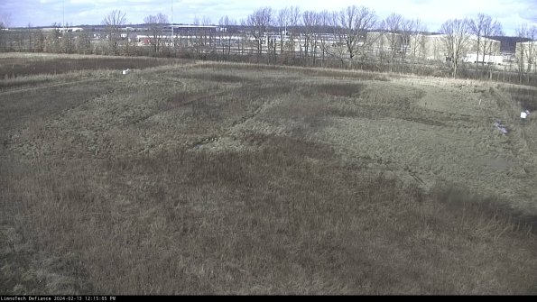 Cell 3_24-02-13_12-15-05-91