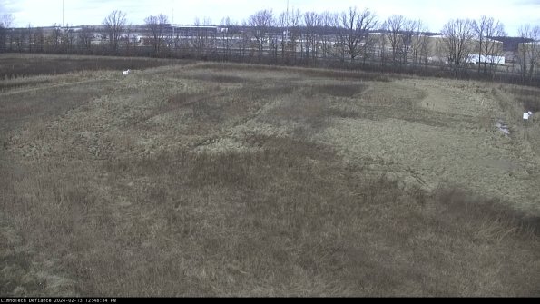 Cell 3_24-02-13_12-48-34-93