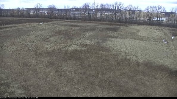 Cell 3_24-02-13_13-22-03-91