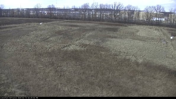 Cell 3_24-02-13_14-29-02-95