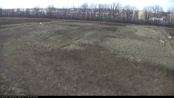 Cell 3_24-02-13_16-43-00-91