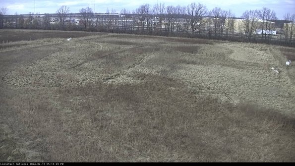 Cell 3_24-02-13_17-16-29-96