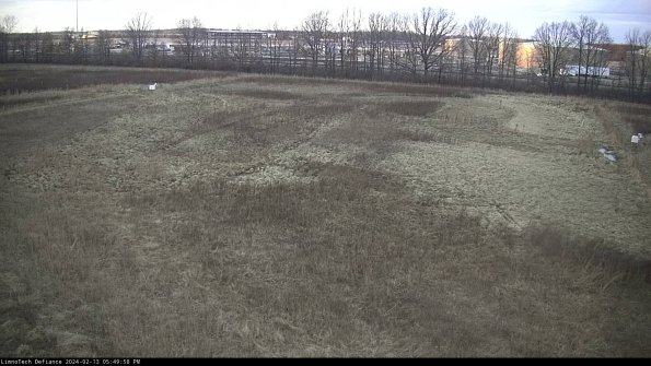 Cell 3_24-02-13_17-49-58-94