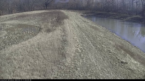 Cell 4 to Basin_24-02-13_11-09-04-94