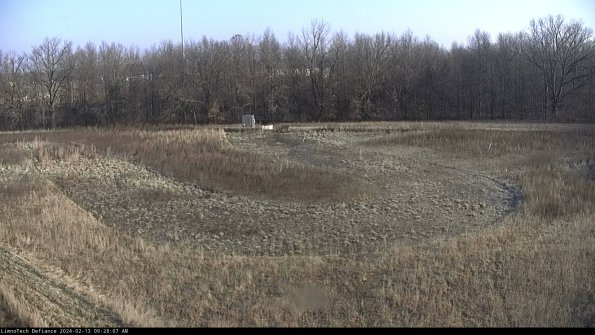 Cell 4_24-02-13_09-28-07-96