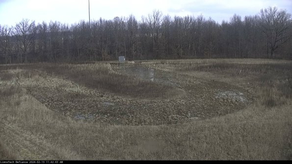 Cell 4_24-02-13_11-42-03-93