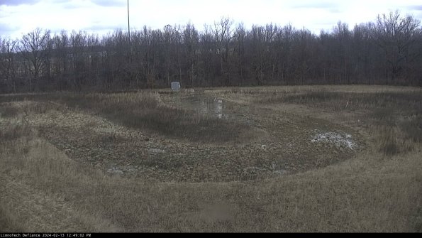 Cell 4_24-02-13_12-49-02-92