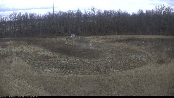 Cell 4_24-02-13_13-22-31-94