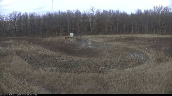 Cell 4_24-02-13_16-43-28-94