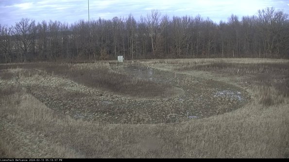 Cell 4_24-02-13_17-16-57-95