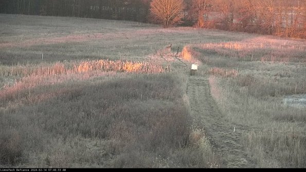 Cell 1 to 2_24-02-14_07-46-33-94