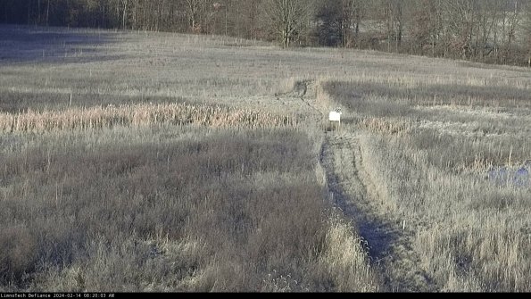 Cell 1 to 2_24-02-14_08-20-03-92