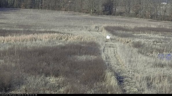 Cell 1 to 2_24-02-14_08-53-32-93