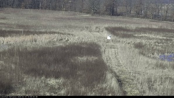 Cell 1 to 2_24-02-14_10-00-30-90