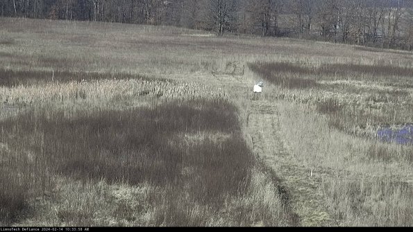 Cell 1 to 2_24-02-14_10-33-58-95