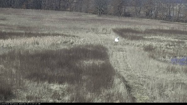 Cell 1 to 2_24-02-14_11-07-27-93