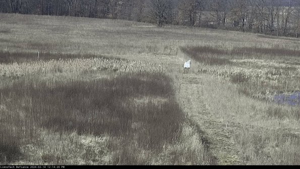 Cell 1 to 2_24-02-14_12-14-26-93