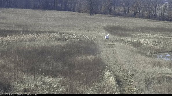 Cell 1 to 2_24-02-14_15-35-23-93