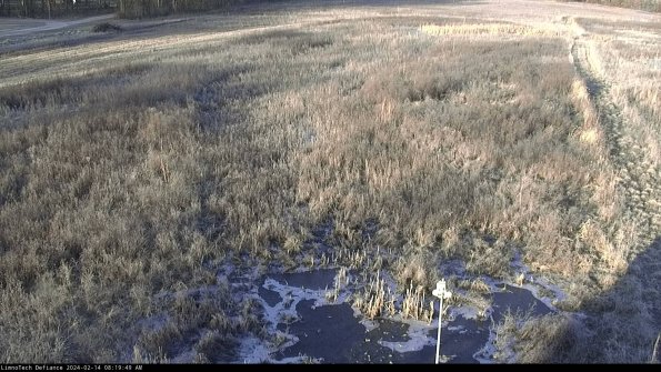 Cell 1_24-02-14_08-19-49-94