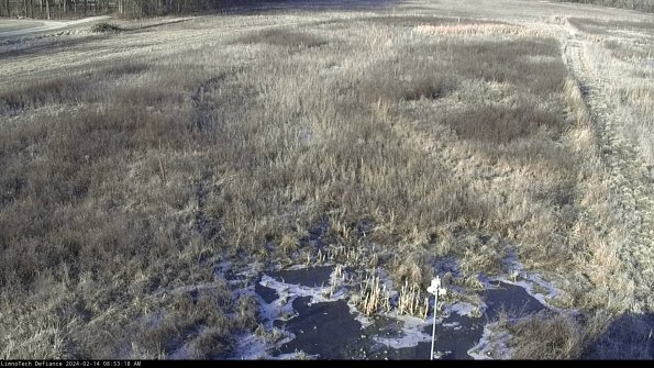 Cell 1_24-02-14_08-53-18-95