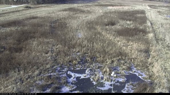 Cell 1_24-02-14_09-26-47-94