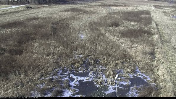 Cell 1_24-02-14_10-00-16-92