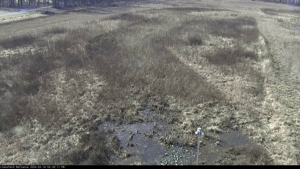 Cell 1_24-02-14_14-28-11-92