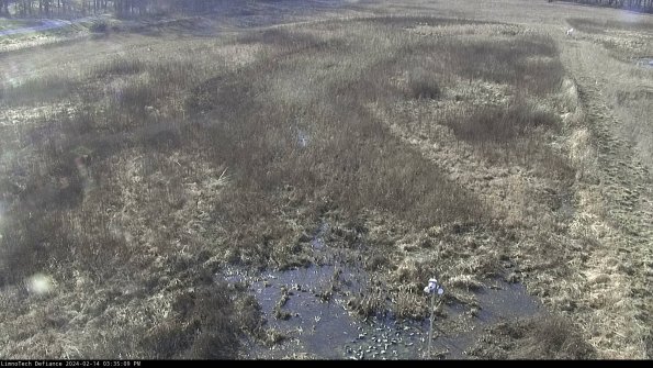 Cell 1_24-02-14_15-35-09-92