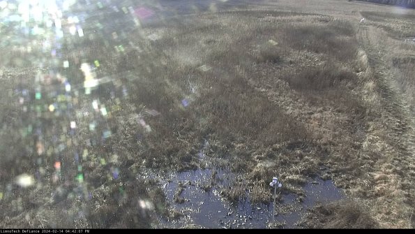 Cell 1_24-02-14_16-42-07-92