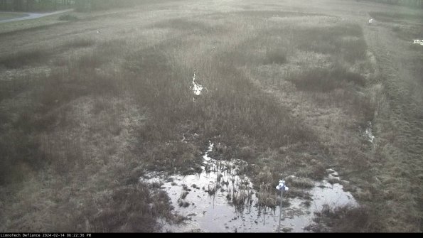 Cell 1_24-02-14_18-22-36-94