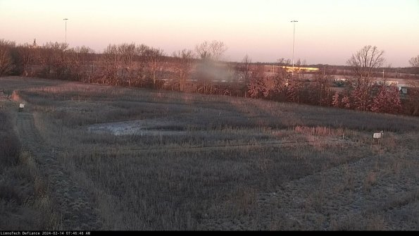 Cell 2_24-02-14_07-46-46-96