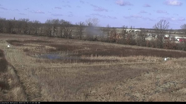 Cell 2_24-02-14_11-07-40-94