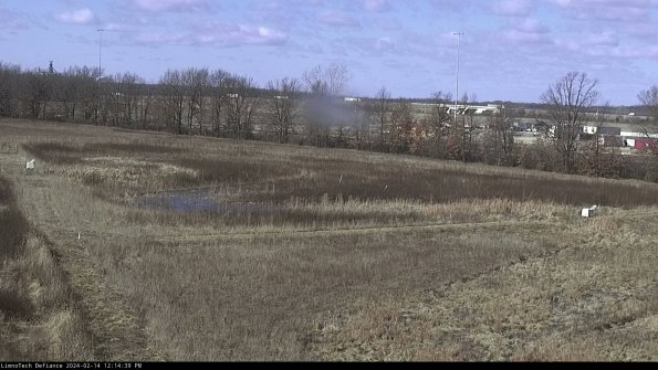 Cell 2_24-02-14_12-14-39-98